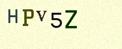 You must read and type the 5 characters